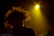 Melvins