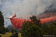 Elephant Butte Fire