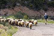 Kalavryta Valley