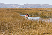 Islas Flotantes to Taquile