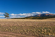 Colorado General