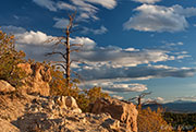 Colorado Fall Colours